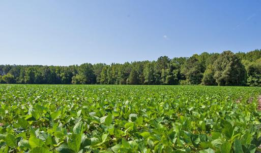 Photo #44 of 2 Nc Highway 33, Tarboro, NC 404.3 acres