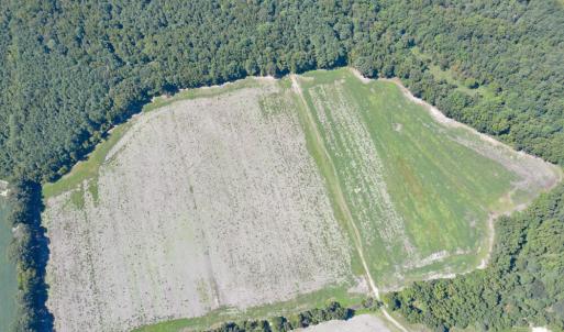 DJI_0575