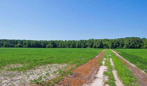 Photo #2 of 2 Nc Highway 33, Tarboro, NC 404.3 acres