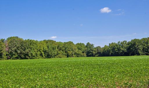 Photo #4 of 2 Nc Highway 33, Tarboro, NC 404.3 acres