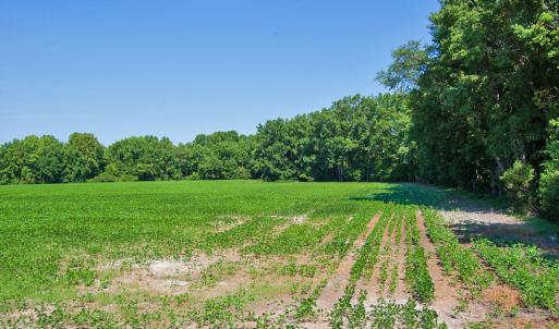 Photo #20 of 2 Nc Highway 33, Tarboro, NC 404.3 acres