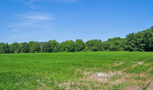 Photo #35 of 2 Nc Highway 33, Tarboro, NC 404.3 acres