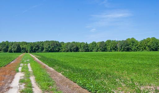 Photo #7 of 2 Nc Highway 33, Tarboro, NC 404.3 acres