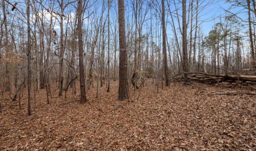 WOODED