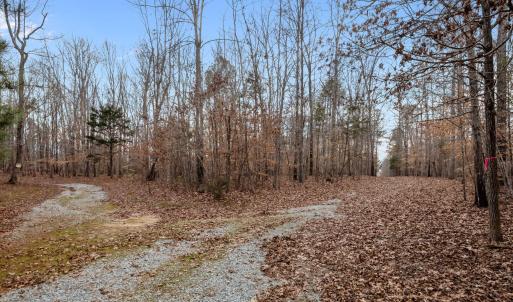 ACCESS DRIVEWAY