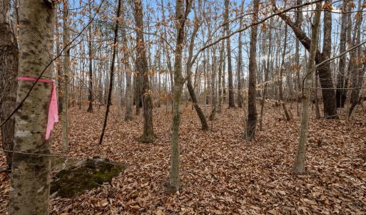 WOODED