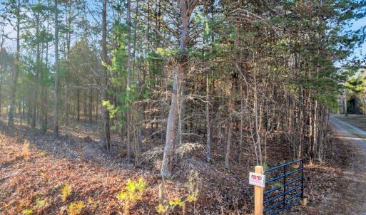 15-DJI_20260113085742_0227_D