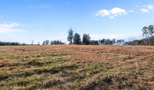 10-web-or-mls-P1100606