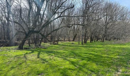 LowerMeadow 6055RiverRun