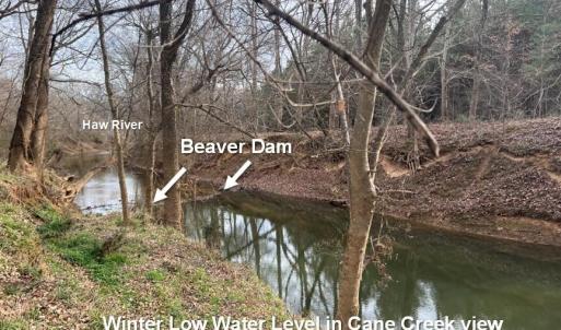 EasternViewCane Creekto Haw over BeaverD