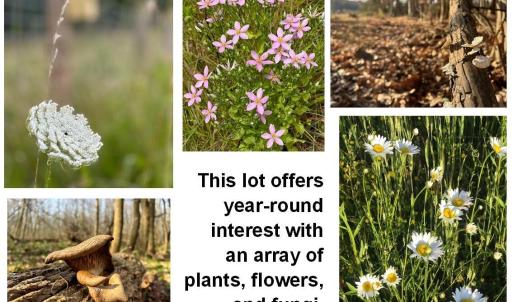 SeasonalFlowerFungi 6061RiverRun