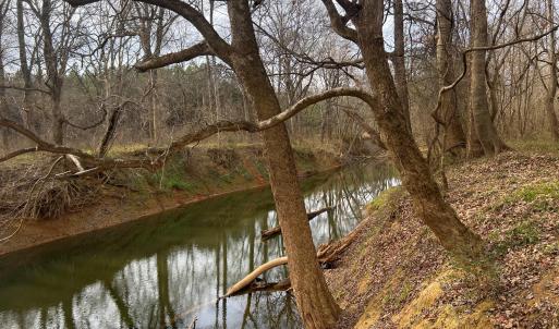 CaneCreekWesternView 6061RiverRun