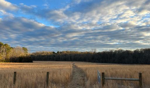 MowedPathBottomGateFall 6061RiverRun