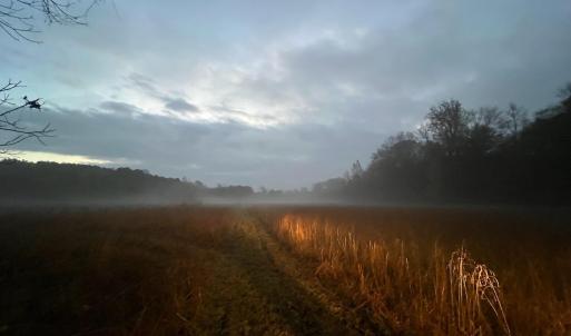 MistyMorning 6061RiverRun