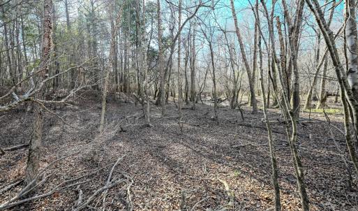 2729 Mcneill Hobbs Ground Photos-2