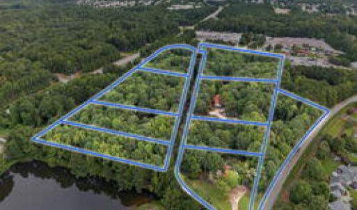 thumbnail-019b5de6-cb40-73e5-b159-b9e5bc