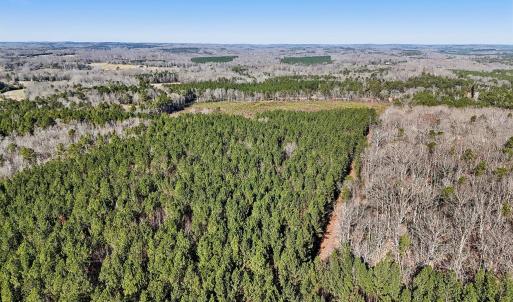 15-web-or-mls-Dewitt Smith Rd-015