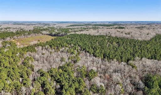 19-web-or-mls-Dewitt Smith Rd-019