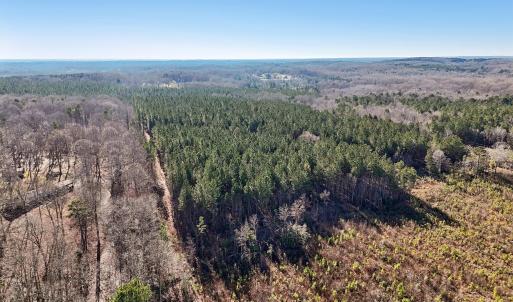 10-web-or-mls-Dewitt Smith Rd-010