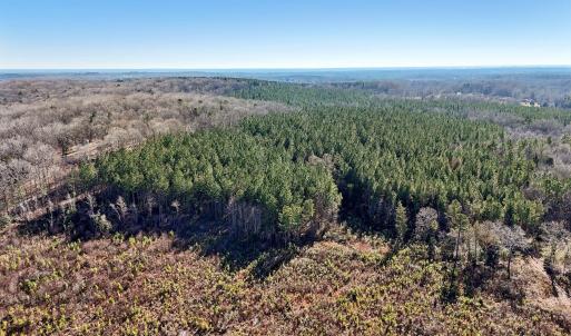 12-web-or-mls-Dewitt Smith Rd-012