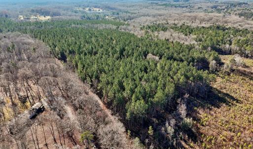 13-web-or-mls-Dewitt Smith Rd-013