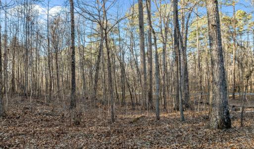 10-web-or-mls-DJI_0054