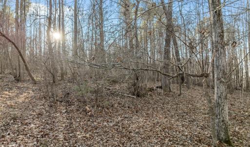 11-web-or-mls-DJI_0055