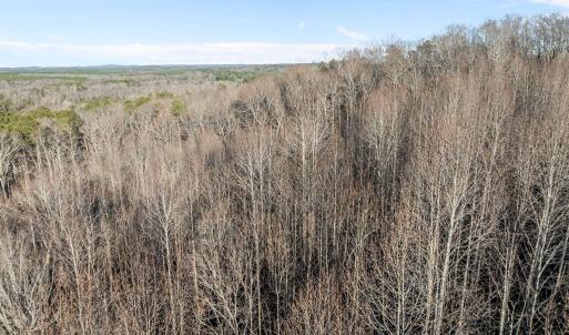 8-web-or-mls-DJI_0050