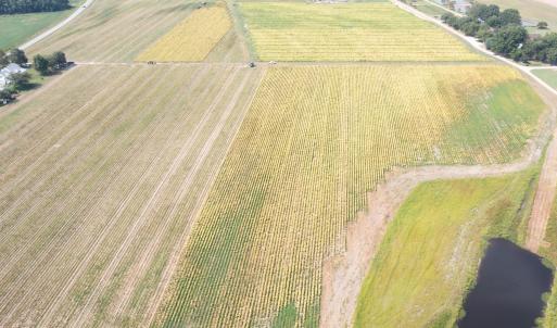 DJI_0702