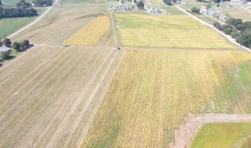 DJI_0699