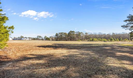 13-web-or-mls-IMG_8520