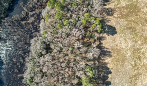 DJI_0908_pro_2550x1667