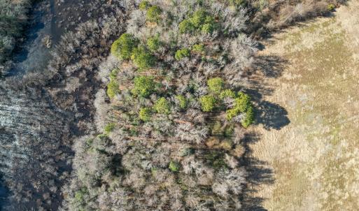 DJI_0909_pro_2550x1667