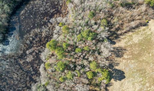 DJI_0911_pro_2550x1667