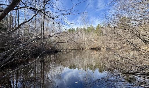 12101 - Pond