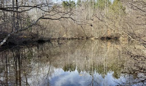 12101 Pond