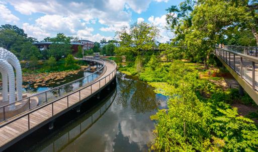 Downtown Cary 06-22-11