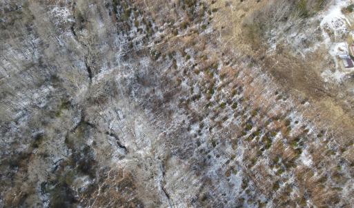 DJI_0664