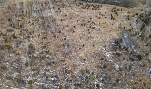 DJI_0671