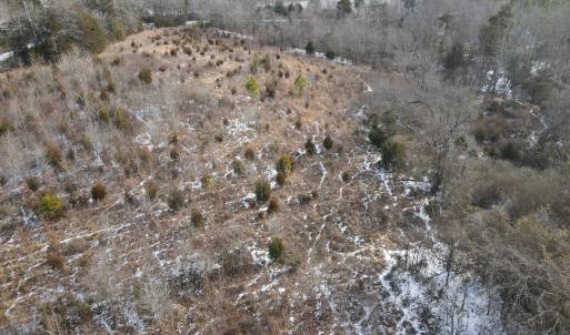 DJI_0673