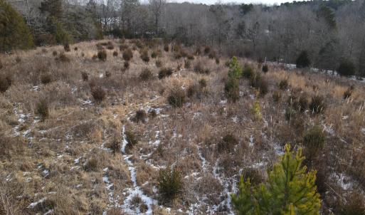 DJI_0676