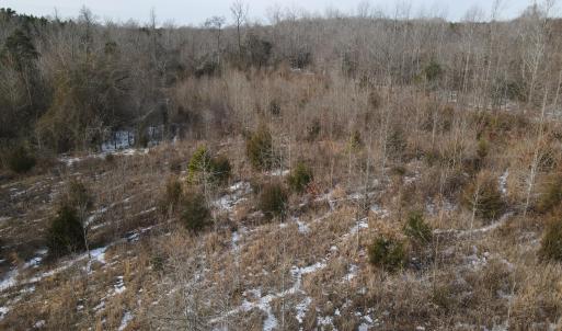 DJI_0677