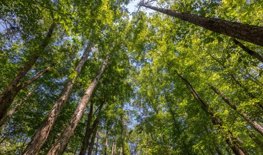 4519_Chicopee_MLS-10