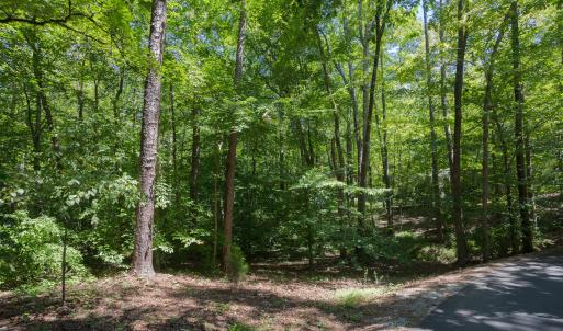 4519_Chicopee_MLS-12