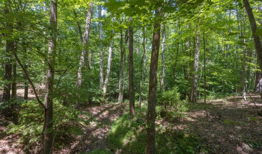 4519_Chicopee_MLS-7