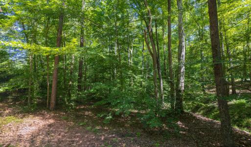 4519_Chicopee_MLS-8