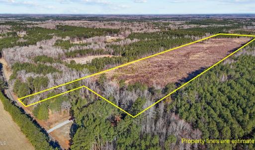 21-web-or-mls-DJI_20250311095247_0779_D_