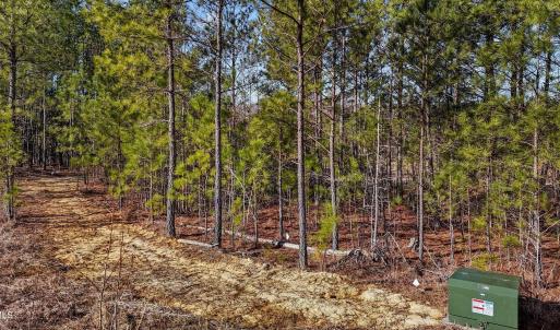 26-web-or-mls-DJI_20250311095519_0783_D