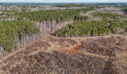 11-web-or-mls-DJI_20250311094844_0769_D