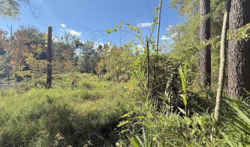 Photo #17 of 1012 Halifax, Rocky Mount, NC 20.0 acres